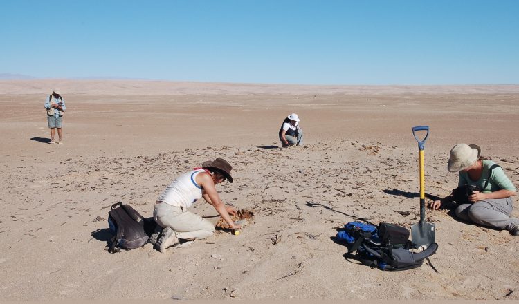 Pueblo sin agua, pueblo muerto: la advertencia del Acta de Tarapacá sobre la sobreexplotación del agua en el Desierto de Atacama