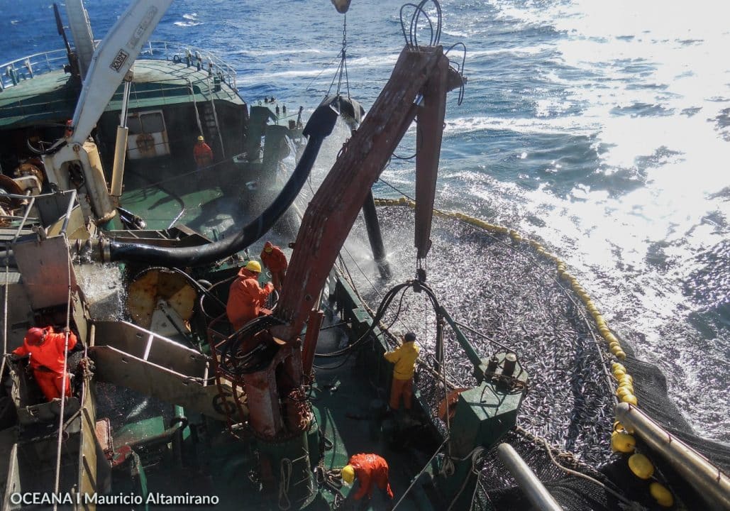 Nueva ley que moderniza a Sernapesca deja a Chile a la vanguardia  para el combate a la pesca ilegal