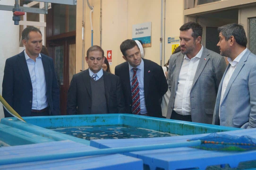 Centro de Innovación Acuícola AquaPacífico aportará 17 nuevas especies a la industria nacional
