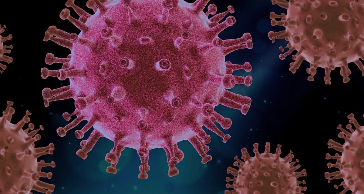 La ciencia unida contra el coronavirus