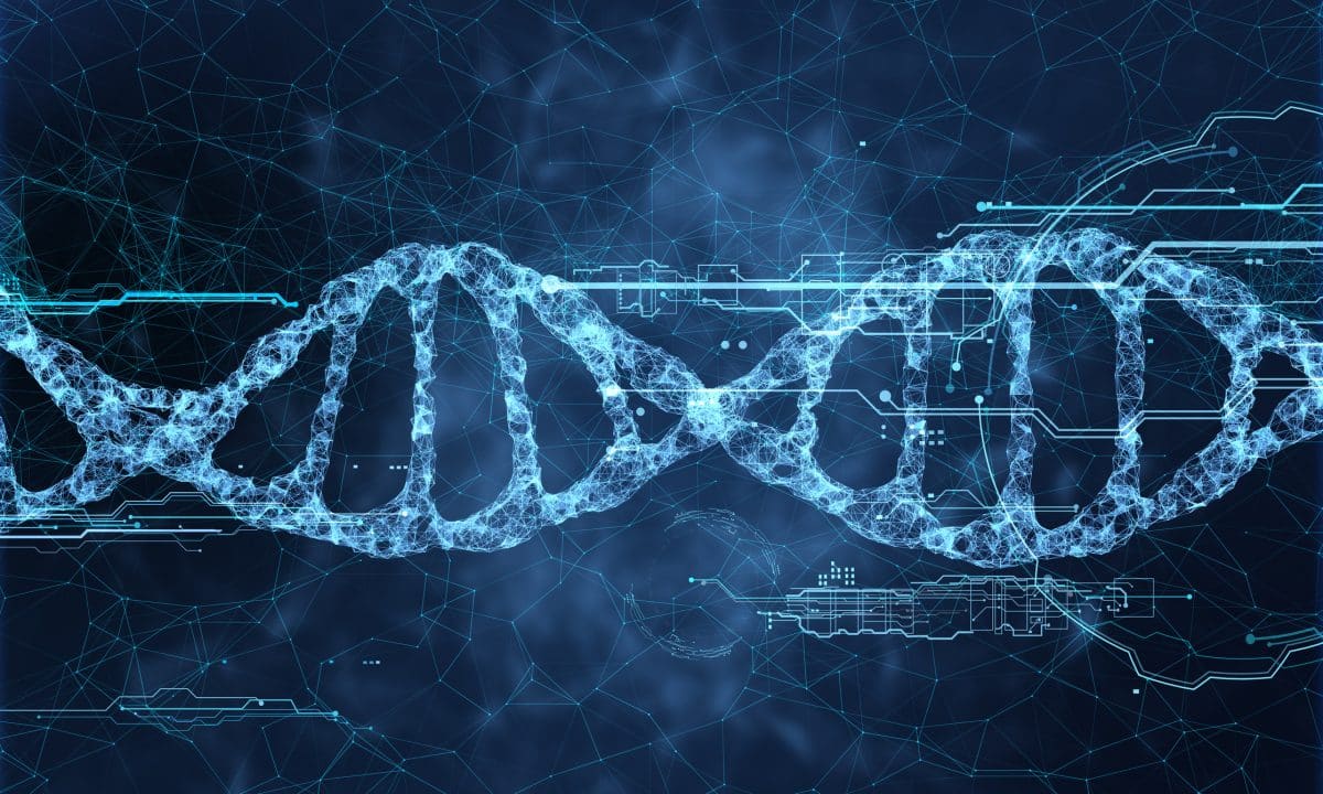 ¿Quién tiene acceso a tu ADN Digital?