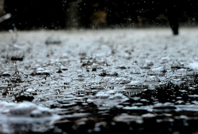 Luvia