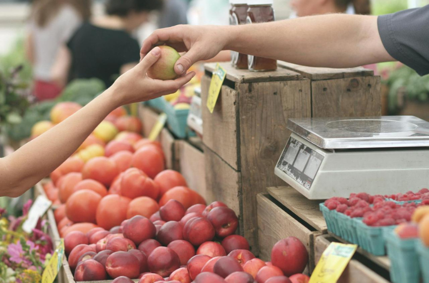 Buena noticia para los feriantes nueva ley les permitirá formalizarse con menos impuestos y sin trámites engorrosos 