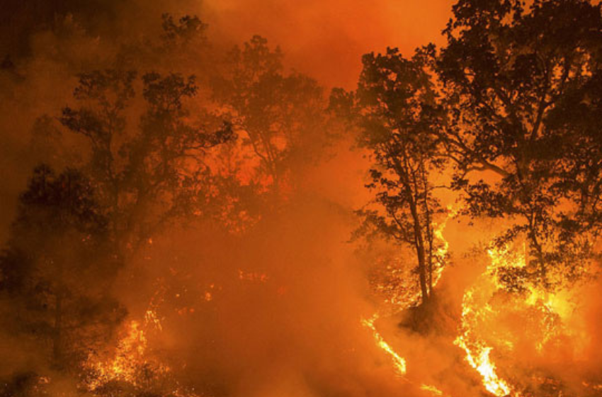 Incendios forestales en zonas con plantaciones forestales en Chile central