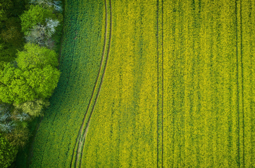  Innovación agroalimentaria: agrotech studio abre postulaciones