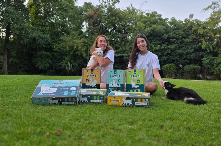 laqu productos sustentables gatos chewy