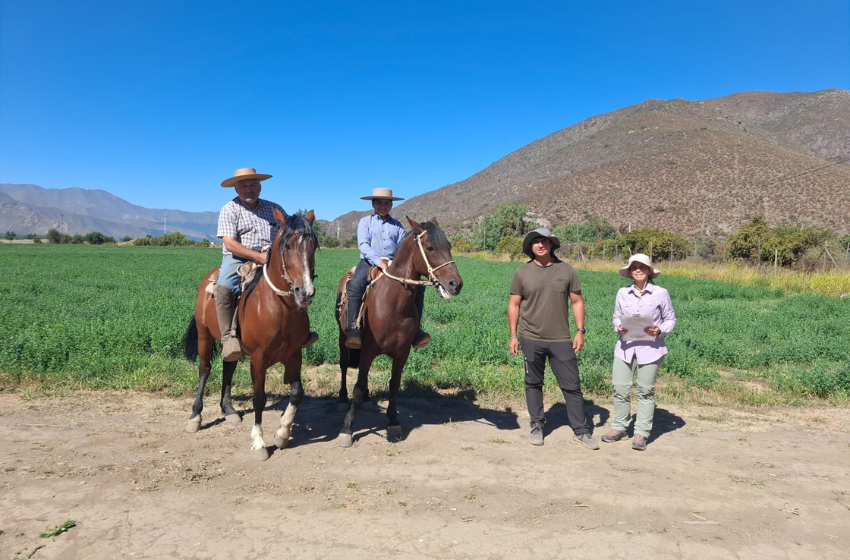 riego precision ganaderia drones chile